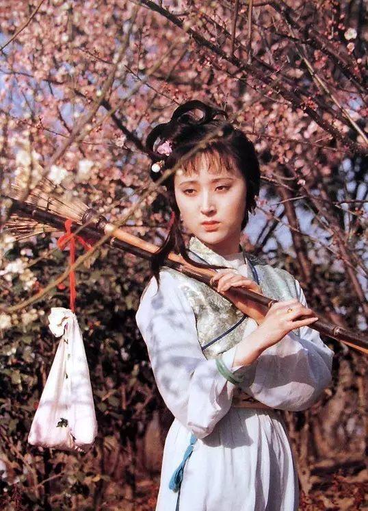 红楼梦英译欣赏,英文版红楼梦古诗