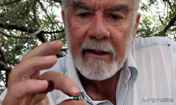 年纪小本领大！堪称#祖母绿#的“劲敌”，到底有啥过人之处？