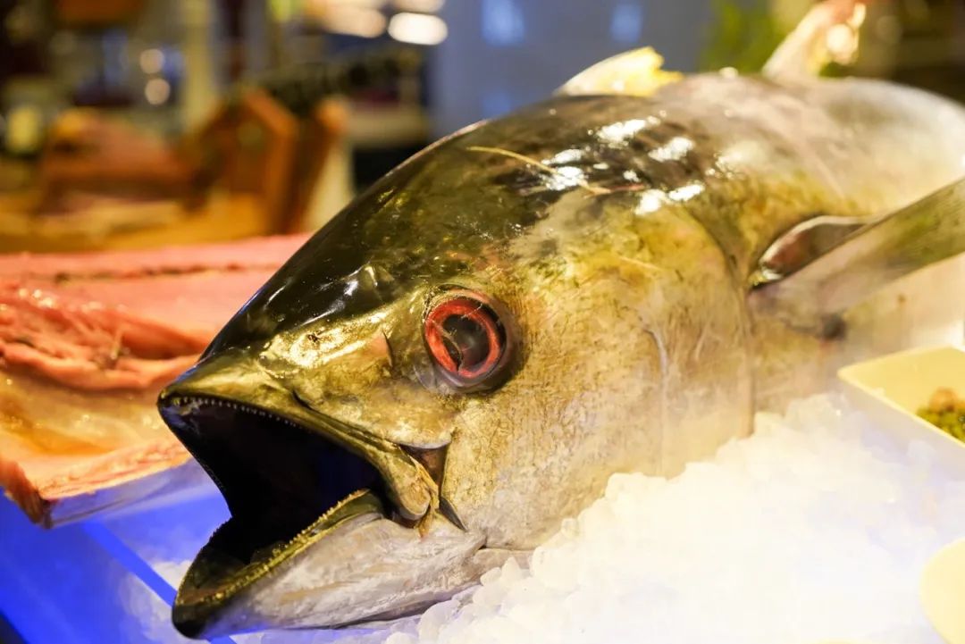 不到两千就能住天津丽思卡尔顿？还能随便吃？这样的羊毛不多了