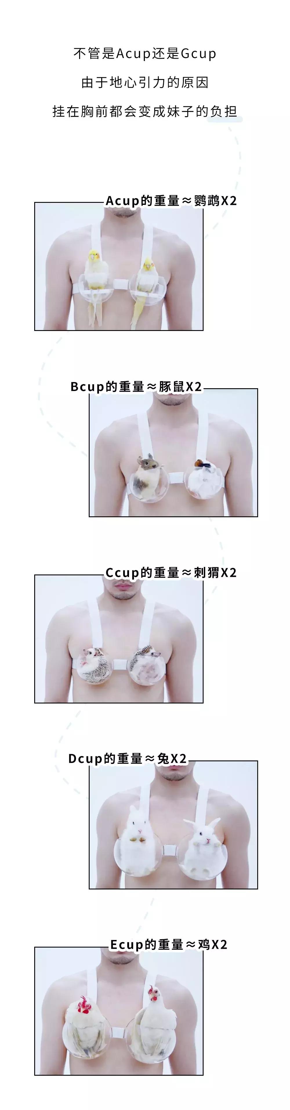 你对自己的胸部有什么困扰吗,你对女生一无所知