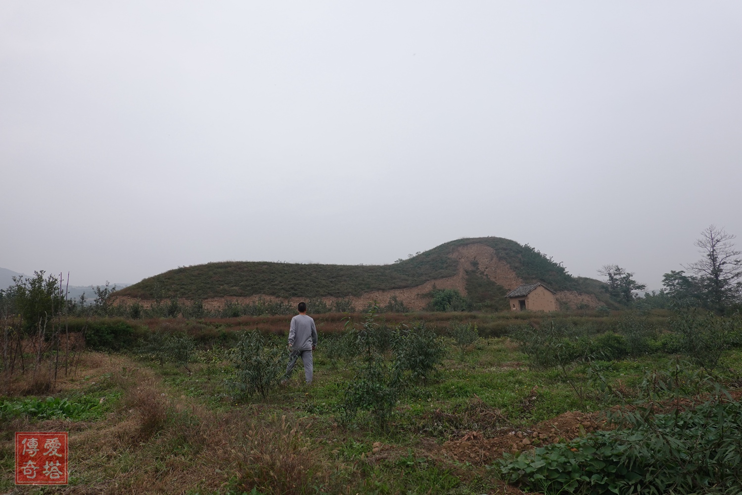 2020年经典电视剧有哪些,2020年将要播出的电视剧有哪些