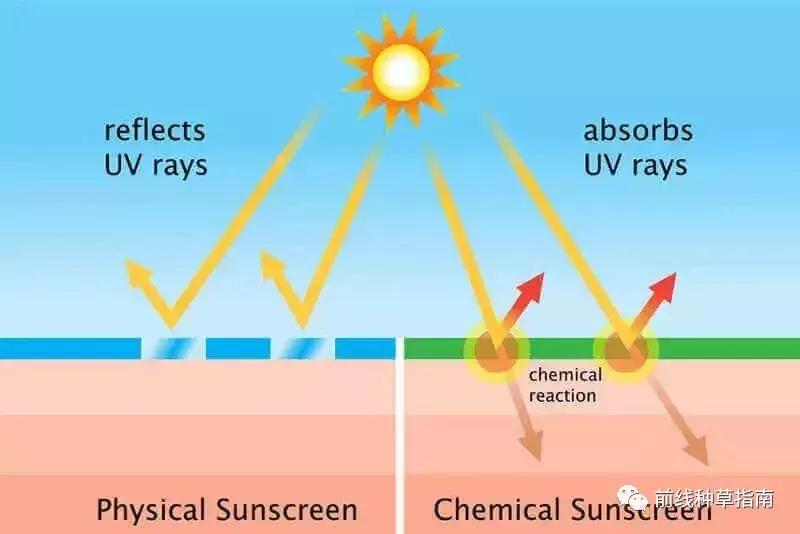 动物防晒VS人类防晒,食物链顶端的我们居然败了?!