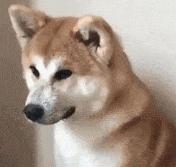 结膜炎流眼泪用眼药水没用怎么办,结膜炎眼睛流眼泪严重用什么药水