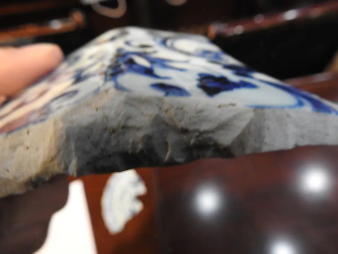 鍏冮潚鑺卞寽鐪熷搧鐗瑰緛,姘戠獞鍏冮潚鑺辩鐗瑰緛