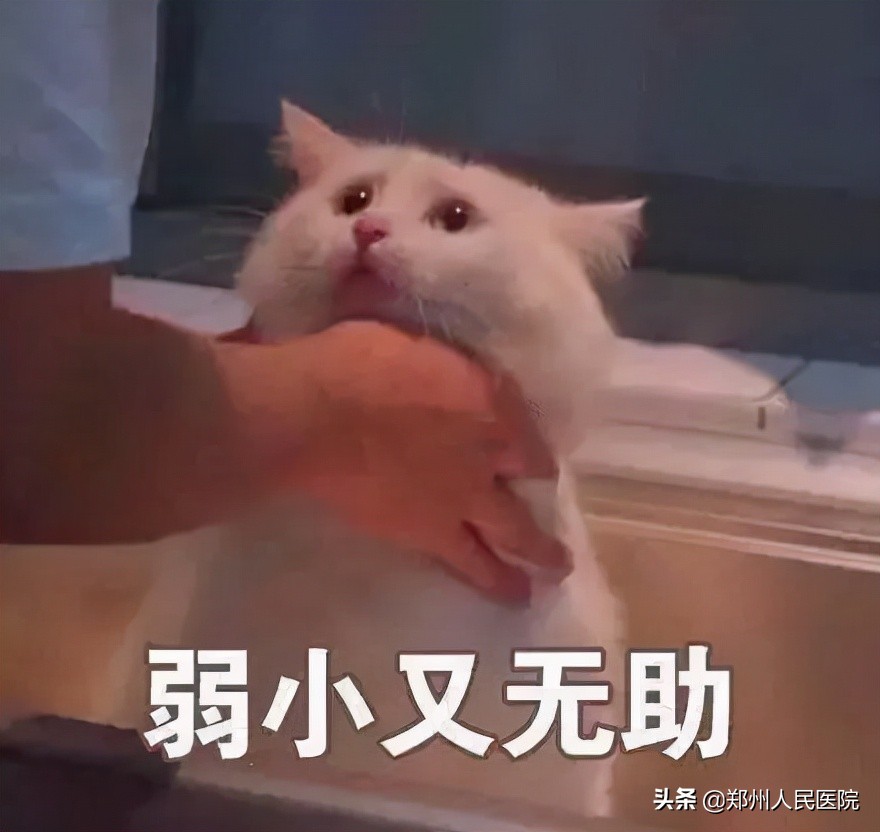 吃酵素治便秘小心患上结肠黑变病,吃酵素蛇皮肠