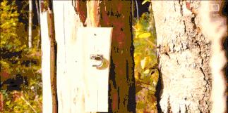 电影中一枪开锁真的靠谱吗,电影中的开锁是什么原理