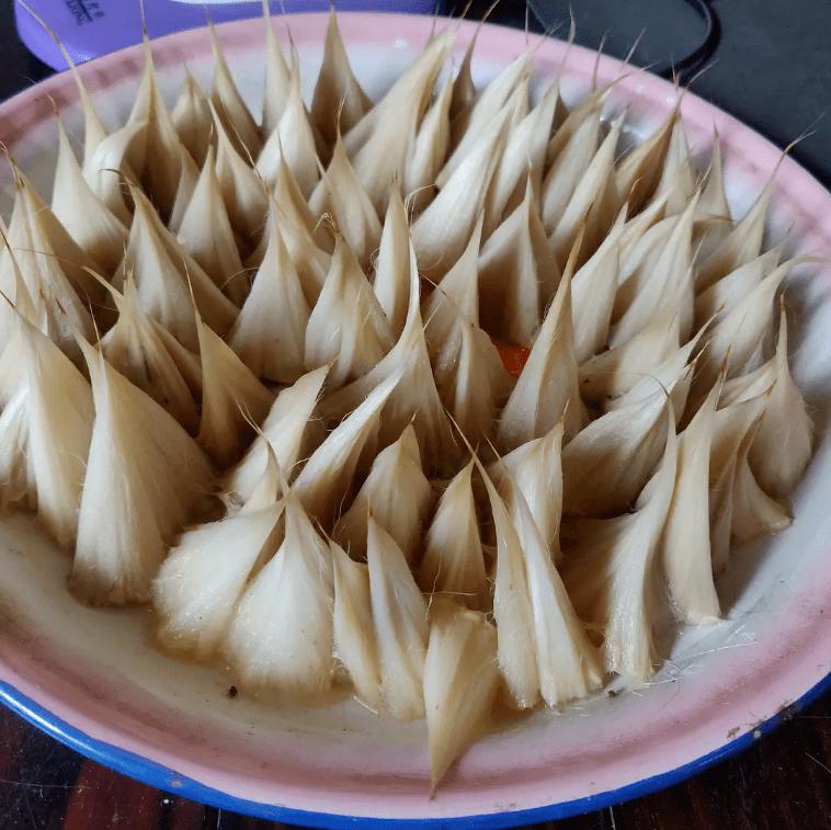 苏州旧书店,苏州很有名的旧书店