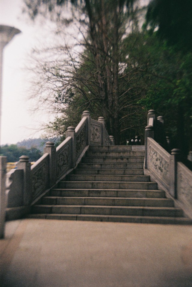 胶片相机拍照技巧,胶片相机拍照