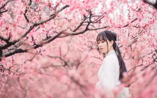 成都春游好去处周末 (成都周边周末春游推荐)