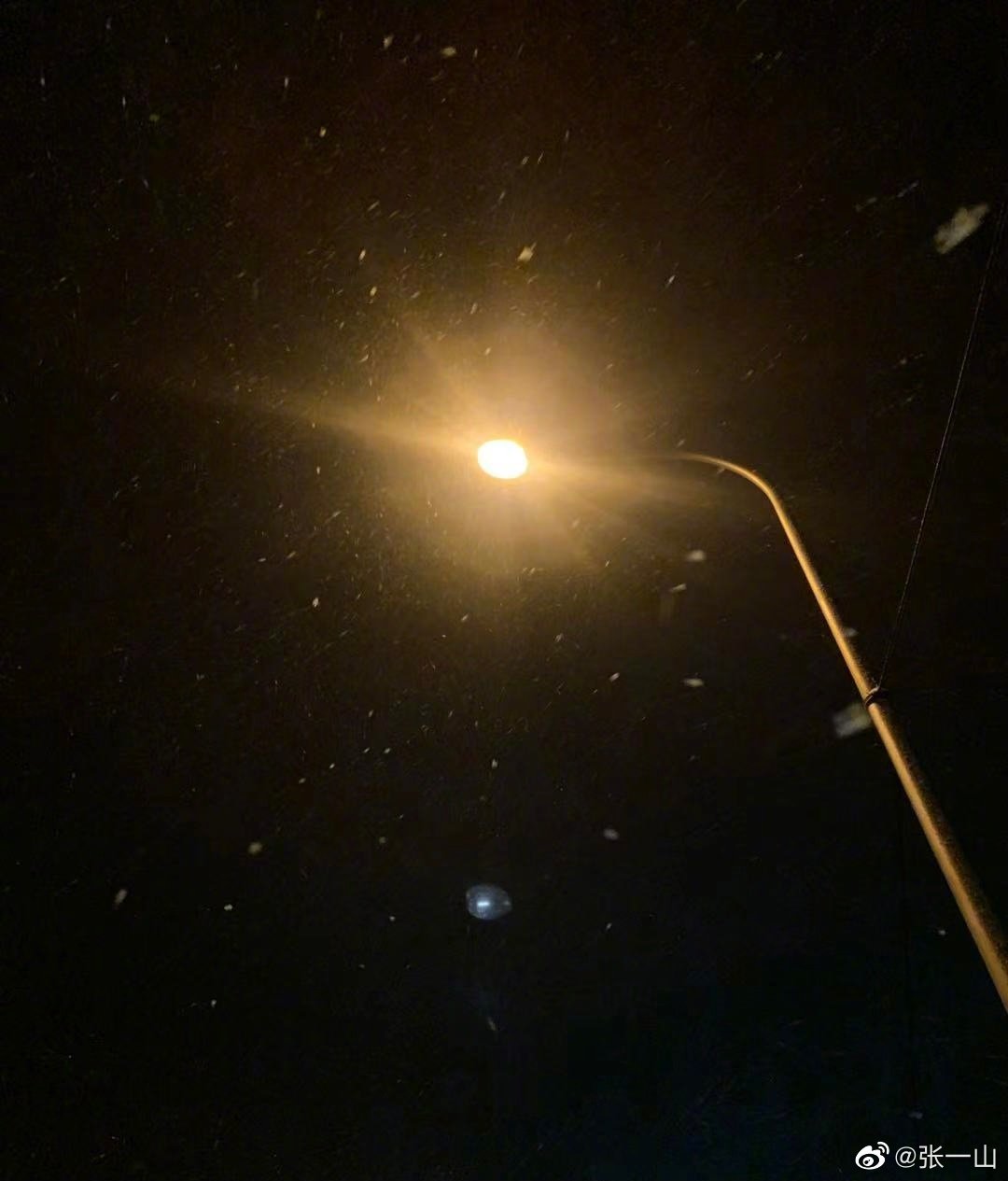 张一山向杨紫表白成功了吗,张一山为杨紫浪漫庆生爱你如初雪