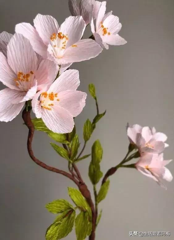 皱纹纸花朵手工艺术,纸艺玫瑰花的制作方法皱纹纸