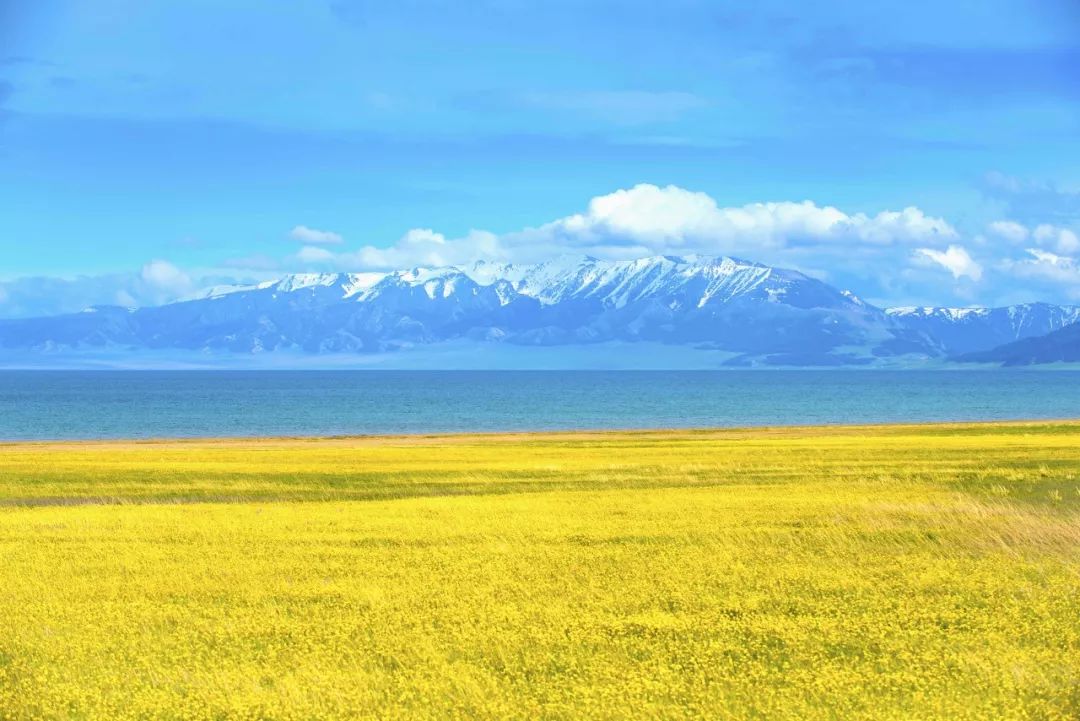 六月的北疆哪些地方值得去,六月的北疆解说
