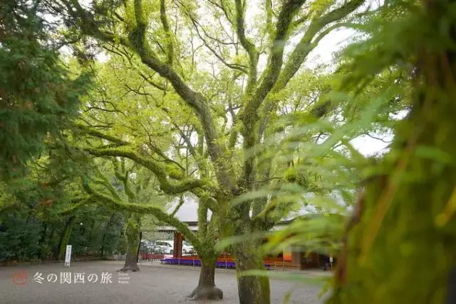 在东京京都之间,藏着一座日本领先且出产战国名将的大城市
