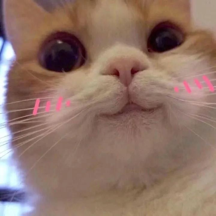 蜜桃乌龙适合什么妆容,蜜桃乌龙眼妆橘子汽水眼妆