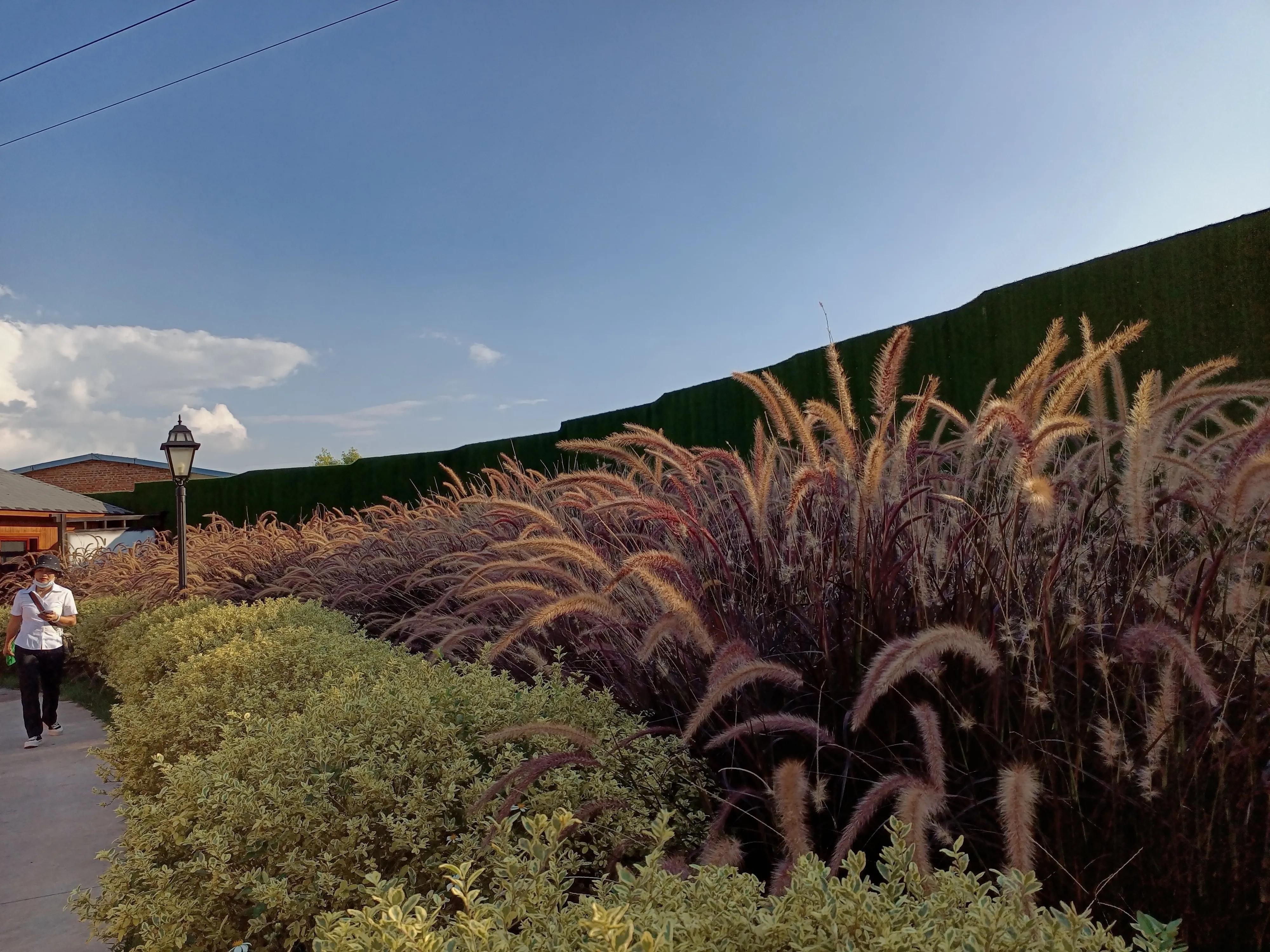 上香时被香灰烫了手是什么意思,上香时被香烫到手有什么寓意