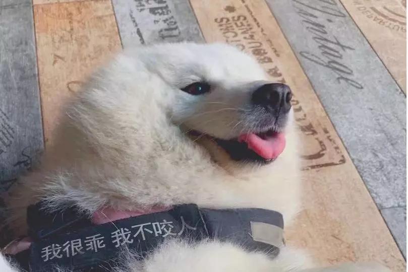 珠海香洲合亨私房菜馆,珠海适合家庭小聚的私房菜馆