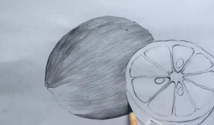 素描水果或蔬菜,素描蔬菜和水果怎么画出质感