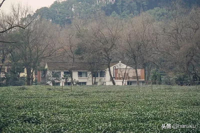 寻梦九溪风景区,寻梦九溪风景图片