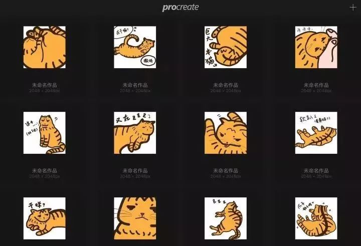 一个人养猫有什么烦恼,一个人生活养只狗靠谱吗