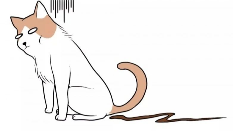 菊部周边长了个肉疙瘩,菊部旁边长了个肉疙瘩