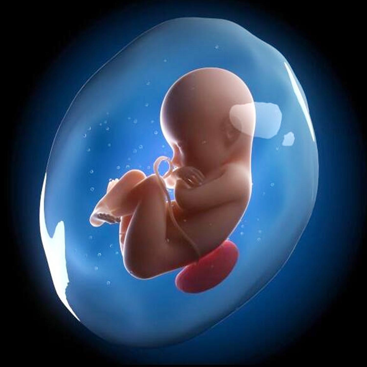 怀孕停经以后才会出现各种症状吗,怀孕了为何会有来大姨妈的现象