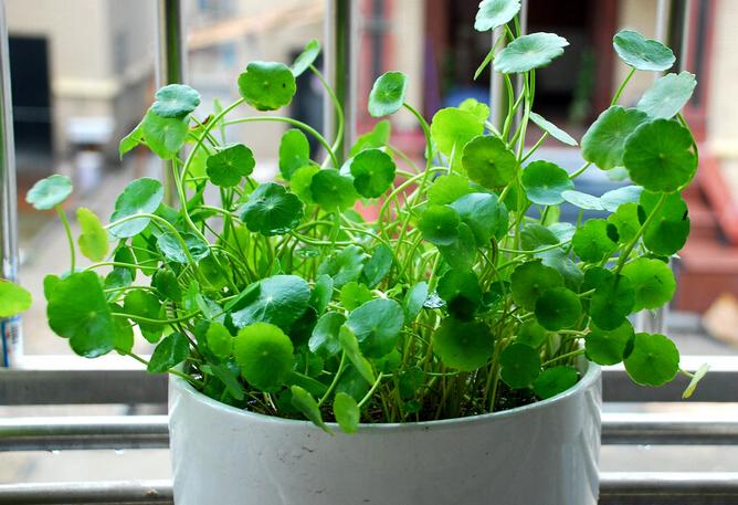 <html>
<head><title>502BadGateway</title></head>
<body>
<center><h1>502BadGateway</h1></center>
<hr><center>nginx</center>
</body>
</html>
<!--apaddingtodisableMSIEandChromefriendlyerrorpage-->
<!--apaddingtodisableMSIEandChromefriendlyerrorpage-->
<!--apaddingtodisableMSIEandChromefriendlyerrorpage-->
<!--apaddingtodisableMSIEandChromefriendlyerrorpage-->
<!--apaddingtodisableMSIEandChromefriendlyerrorpage-->
<!--apaddingtodisableMSIEandChromefriendlyerrorpage-->
