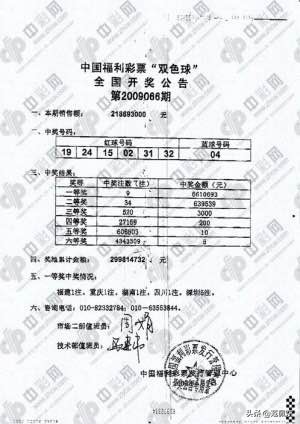 双色球泄号事件,双色球假案处理结果