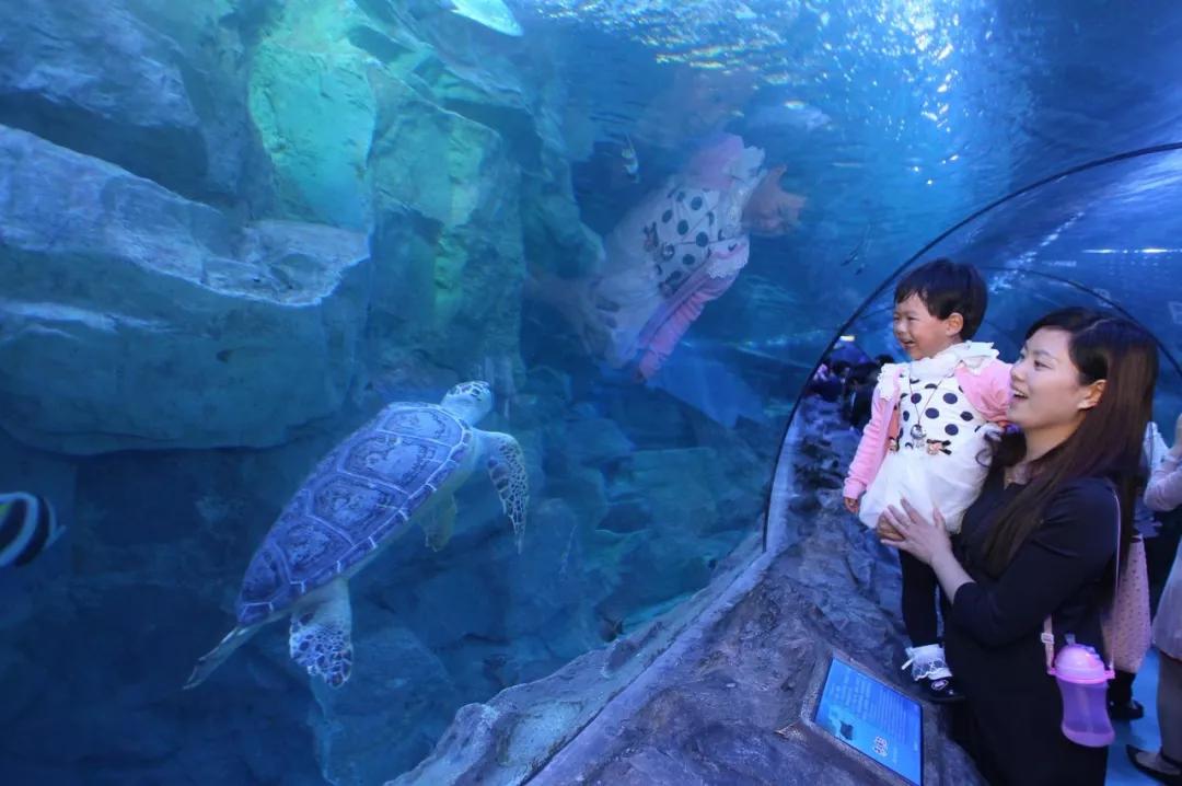 推荐几个宁波好玩的地方,宁波适合短途旅游的地方