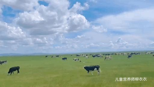 暑假内蒙古旅游攻略亲子,暑假亲子游玩内蒙古5天4夜