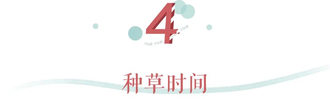 夏天干皮可以用控油的吗,一到夏天容易出油皮肤暗黄