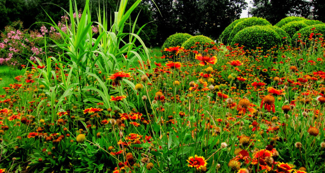 十二星座心情不好怎么宣泄,十二星座情绪低落时