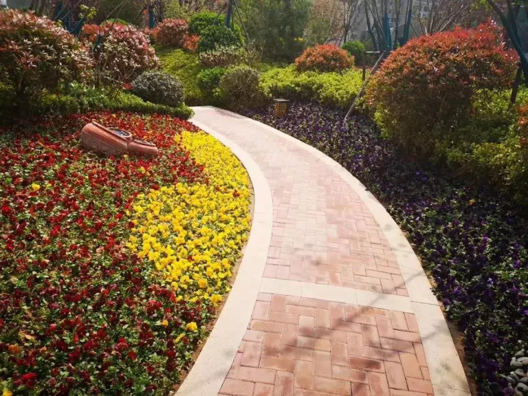 想学尤克里里要怎么跟父母说,初学尤克里里买多少价位的琴