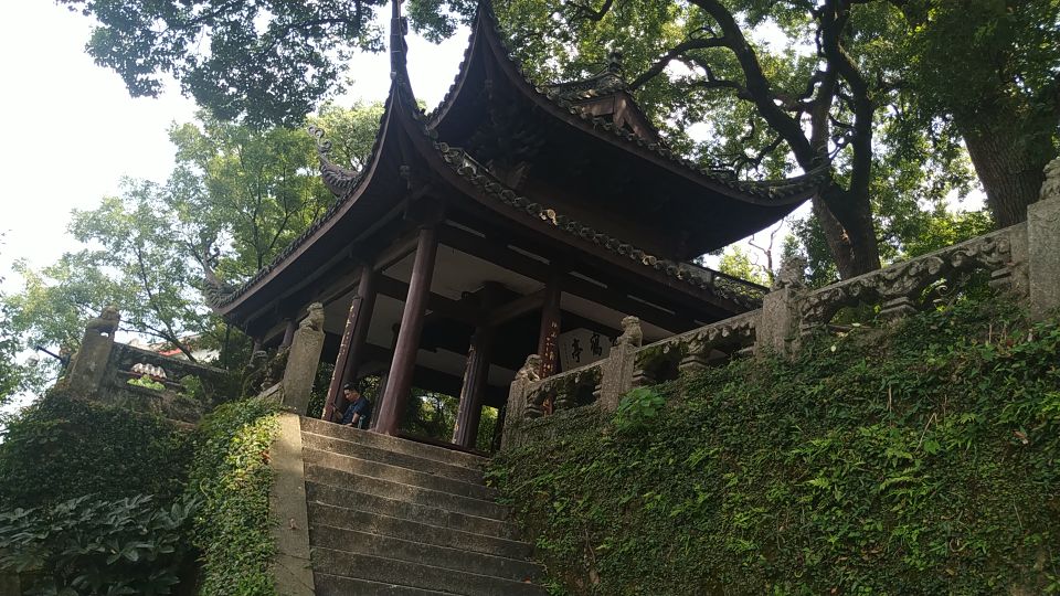 西湖风物志：随处可见的绿果果，老杭州都说是宝贝，竟然免费捡？