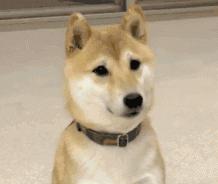 德国留学签证办理流程全攻略,留学秘籍