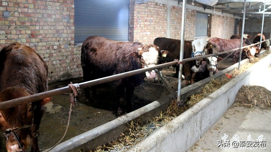 致富新项目快速盈利方法,赚钱新模式创业项目