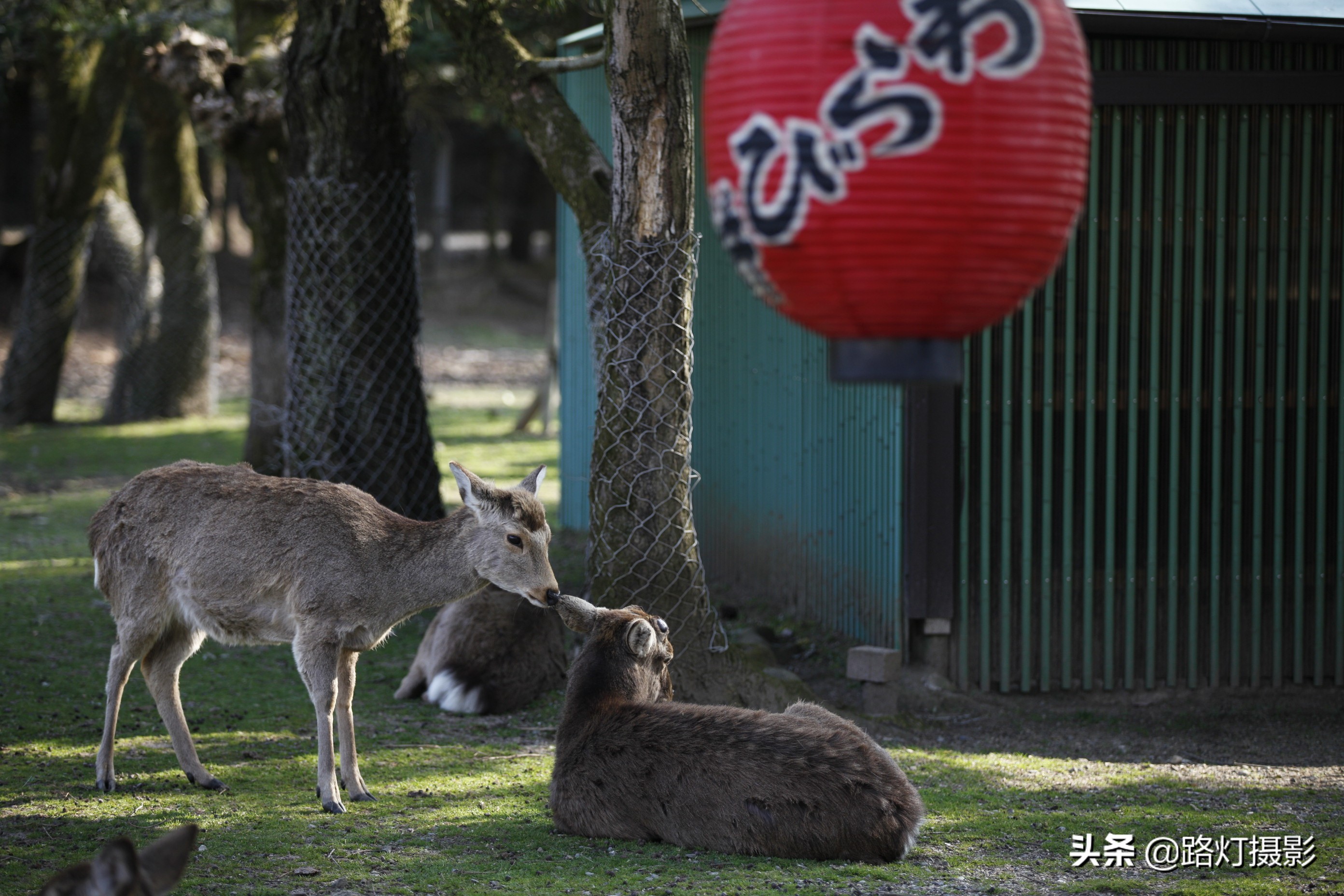 中国人到日本不用担心迷路,看看这些指示牌,都能猜个八九不离十