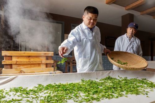 恩施硒茶宣传,恩施硒茶的发展优势有哪些