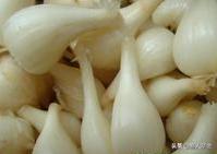 中国地理标志农产品品牌有标识吗,全国农产品地理标志排名