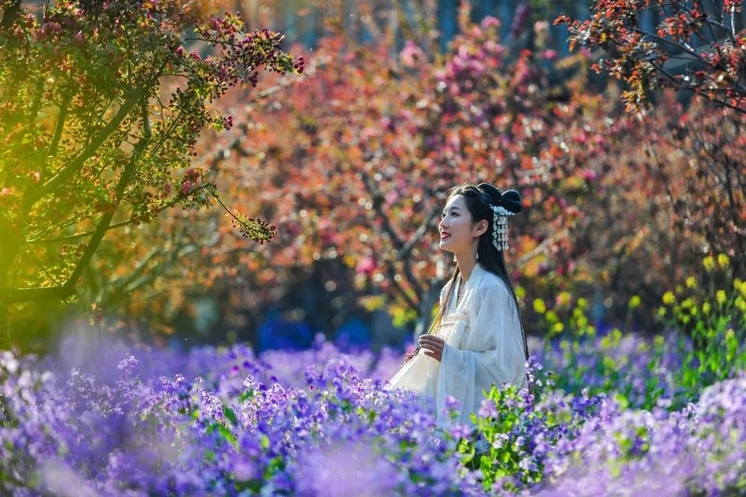 台儿庄古城美宿美食美景+养生游,感受不一样的小城之旅