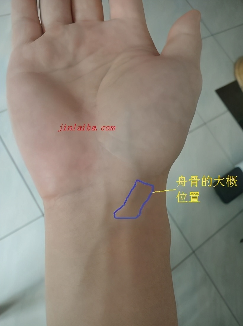 腕舟骨骨折康复训练6个动作,足舟骨骨折康复训练视频教程