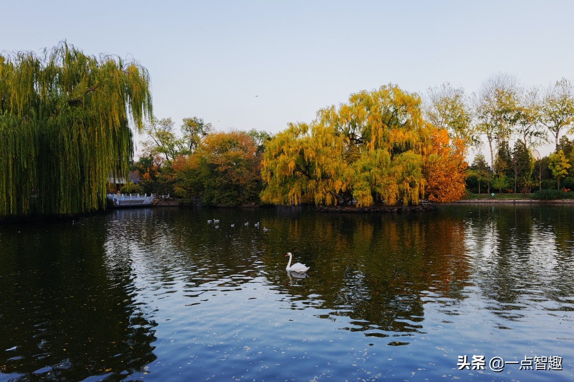 松下16-35f4,松下16-35f4和20-60镜头对比