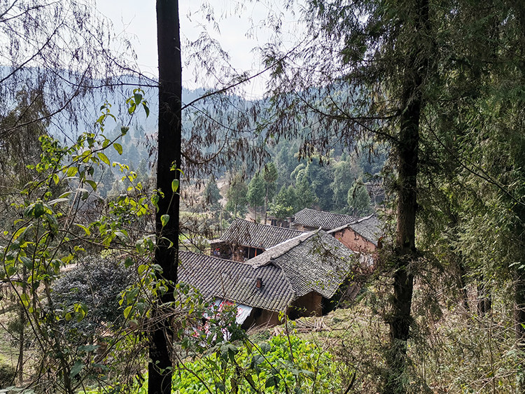 2022年全中国有多少留守儿童,我国现有留守儿童约有多少人