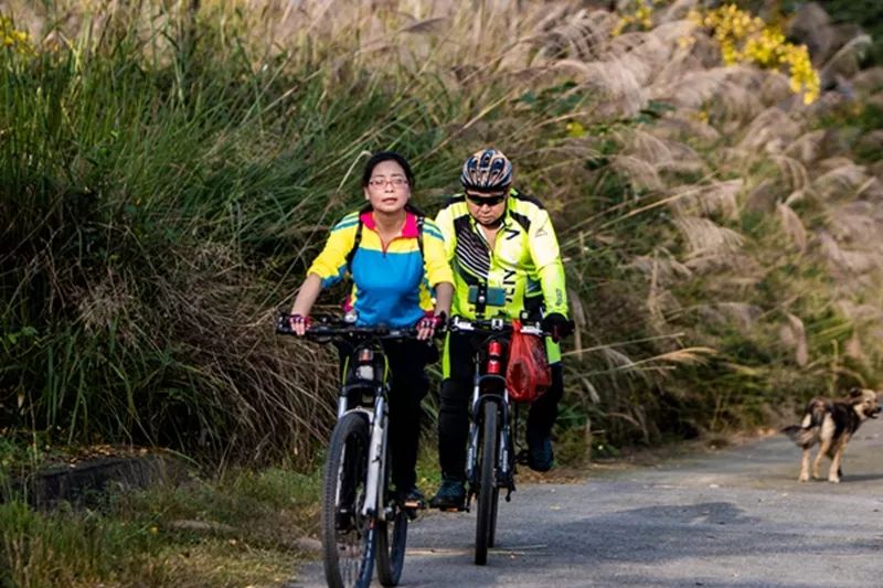 金黄色警报,黄色警报镜头
