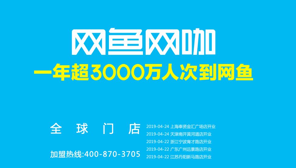 网鱼网咖北京前景,网鱼网咖和网吧