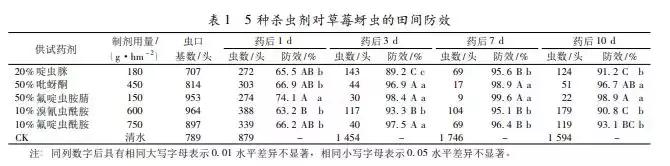 蓟马螨虫红蜘蛛蚜虫,四季豆蓟马红蜘蛛蚜虫要打什么药