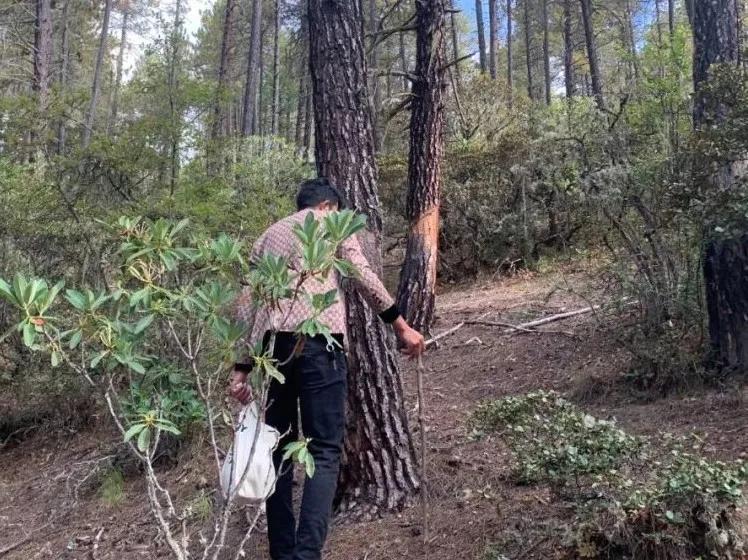 香格里拉有什么不能冒犯,香格里拉为什么神秘