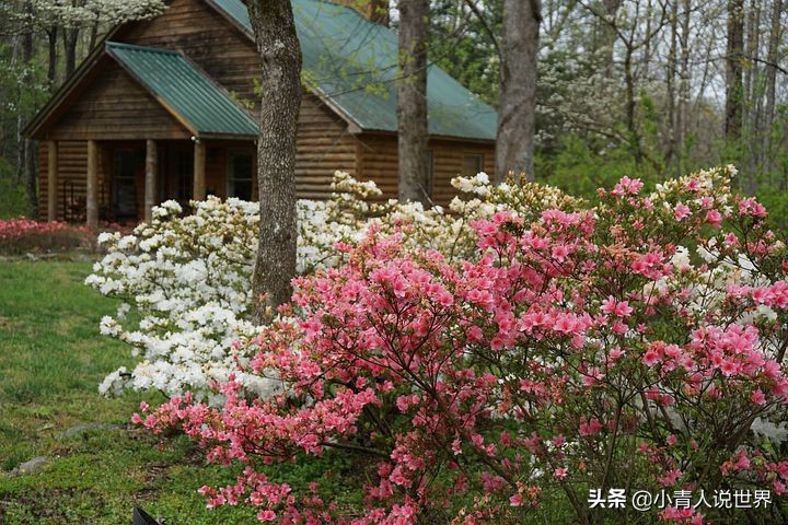 美国田纳西州发达吗,美国田纳西州地理位置