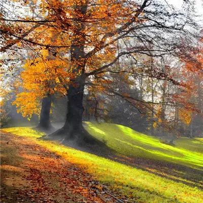 微信头像2020最火微信头像姓氏3d,卡通微信头像2020最火微信头像