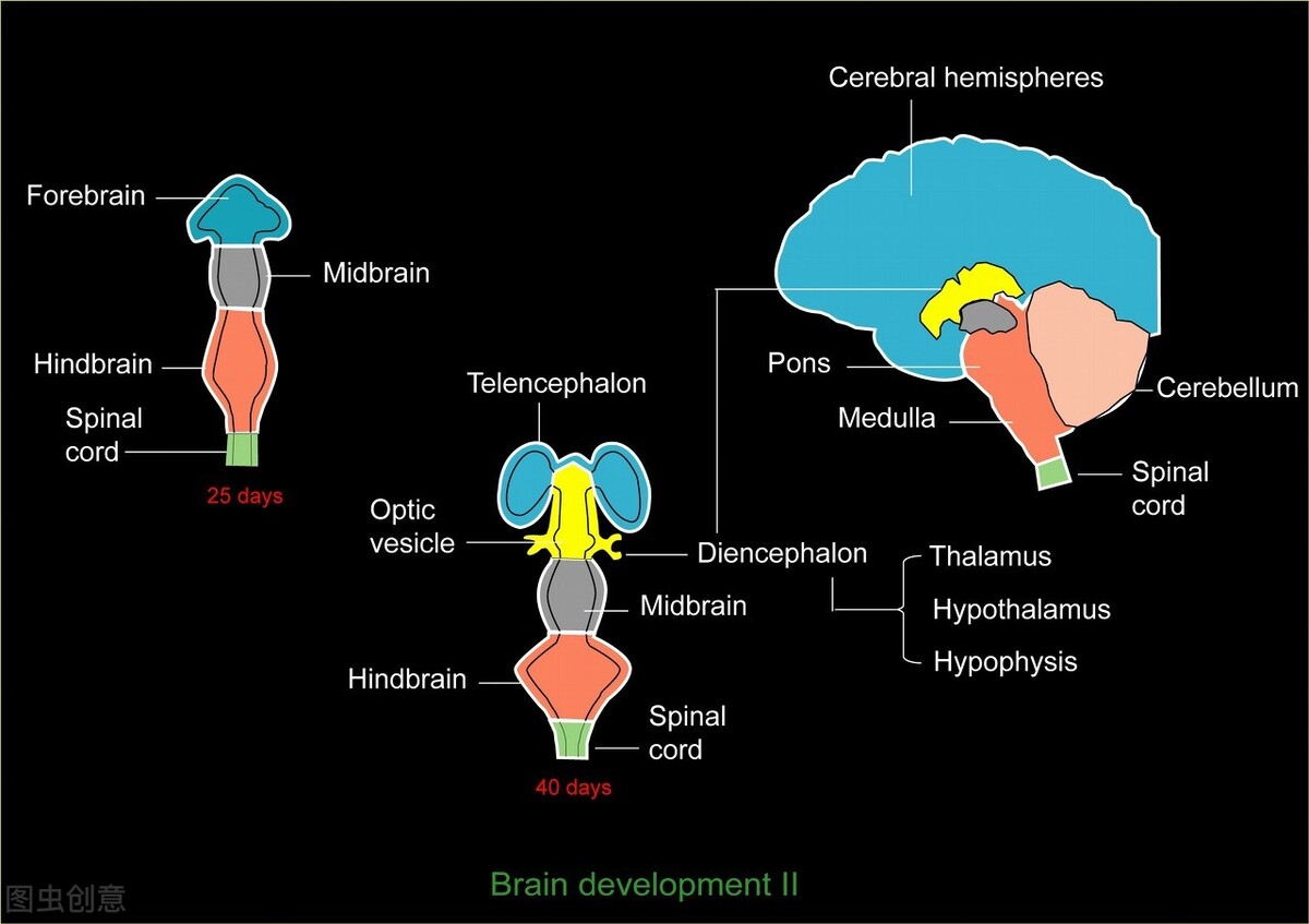 脑梗足外翻走路恢复方法,脑出血后足内翻怎么锻炼好得快