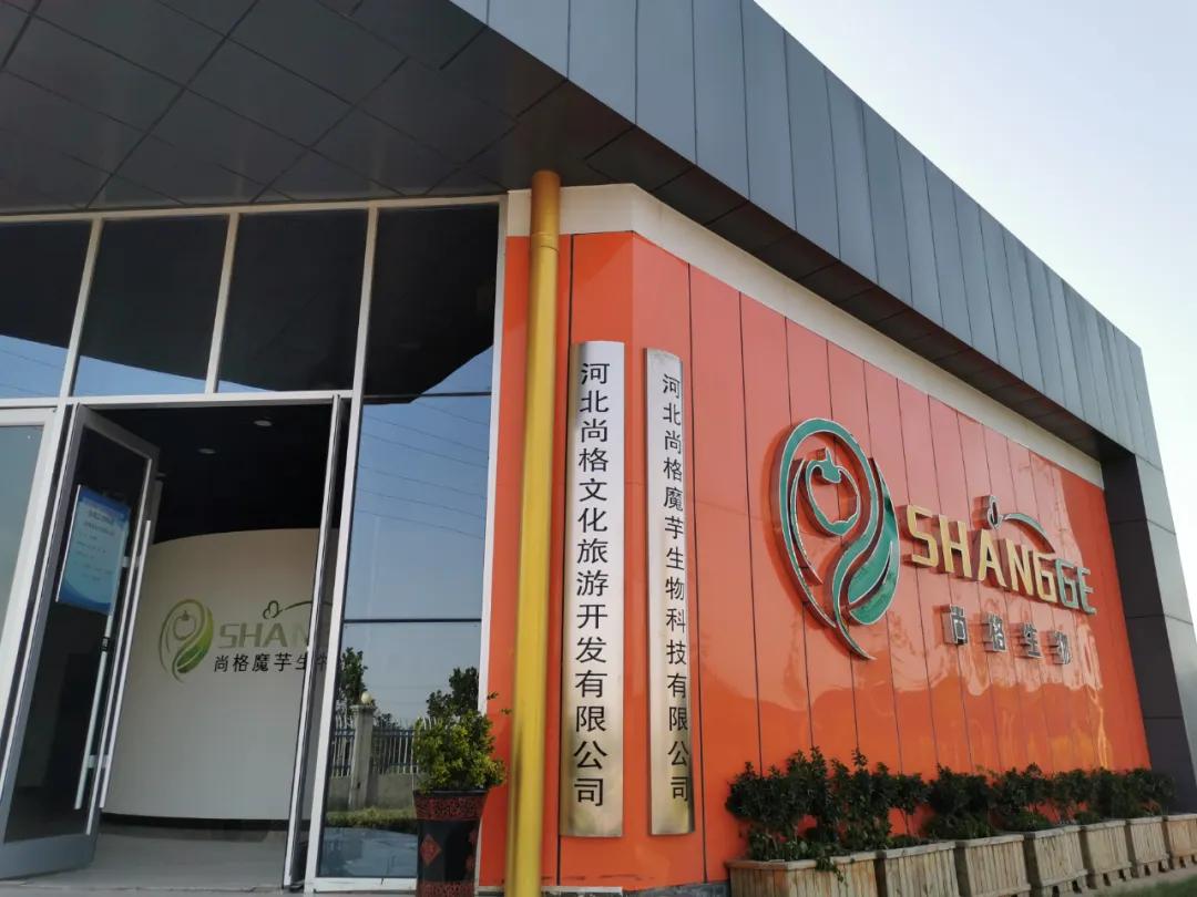 省媒绘声绘色,讲述复兴故事